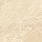 1209 Calcare Ivory Matt 120x60 Artcer фото в миниатюре 4