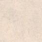 G342MR Taganay Beige 60x120 Гранитея