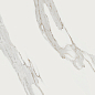 Calacatta Reale JW02 Nat 60x119.7 Mirage фото в миниатюре