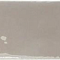 129058 Rebels Grey Gloss 5х15 WOW