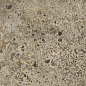 AC126196A Pietra Viva Matt 60x120 Artecera