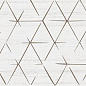 GT803VG Brasiliana Светло-бежевый Декор 50x25 Global Tile