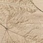 FI 1 Foliage Beige 20х80 Del Conca