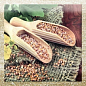 Exquisit B Brillo 10*30 Monopole Ceramica