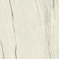 A203 Marvel Bianco Fantastico Matt 120x120 Atlas Concorde