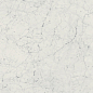 610010001194 Charme Extra Carrara Nat Ret 60x120 Italon