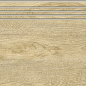 G-251/SR/st01 Italian Wood 20х60 Grasaro