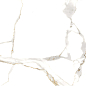Satvario Gold 600x600 Velsaa