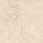 108675 Trani Avorio 20x40 Cerdomus фото в миниатюре