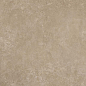 11022 Shell BG 60х120 Creto