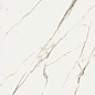 600010002387 Stellaris Calacatta Gold Nat Ret 120x120 Italon