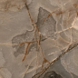 769798 Reves De Rex Choco Matte 60x60 Rex Ceramiche