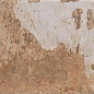 1052958 Havana Cohiba 10х20 CIR