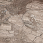 GT141VG Sonesta Коричневый 50x25 Global Tile