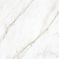 CP4004-A Selva Gold Carving Pro 60x120 Creanza