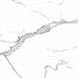 PR207 Salvatore Polished 600x1200 PrimaVera