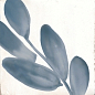 M9JA Rice Bianco Decoro Blossom Lux 15х15 MARAZZI Italy