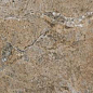 Dynasty Forest 20*40 Cerdomus