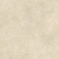 AYT9 Boost Expression Camel Matte 120x120 Atlas Concorde