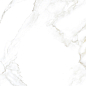 Carrara premium white PG 01 60х60 Gracia Ceramica