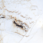PR116 Namibian Marble Polished 600x600 PrimaVera