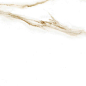Damiano Gold Rectified 30x90 Geotiles