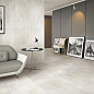 Maxstone Silver Mat 60x120 Realistik