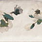 PT02551 Esenzia Fabola Green Mix 15x30 Mainzu