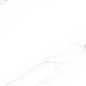 Calacutta White Polished 60х120 Goldis Tile