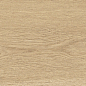 41726 Bloom Honey SP/24x151x0,9/R 24x151 Peronda