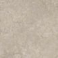 11021 Shell LB 60х120 Creto