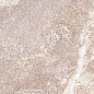 TWU2550PRS40 Persey 249x500x7 Alma Ceramica (Уралкерамика)