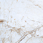 PR116 Namibian Marble Polished 600x600 PrimaVera