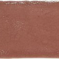 A032396 Dynamic Coral 7,5х30 CARMEN
