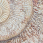 FM3366 Fossil Mix 33х66 Serapool фото в миниатюре 15
