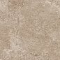 Mystical Charm Camel Relief Matt 60x120 Staro