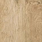 AS3C (AE7J) Axi Golden Oak 22,5x90 Atlas Concorde