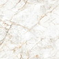 N20581 Glister Gold Carving 80x160 Neodom