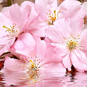 Букет BELLEZA