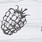 Decor Fruit Laguna Blackberry 10x30 Monopole Ceramica