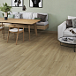 Forest StaroWood