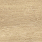 41726 Bloom Honey SP/24x151x0,9/R 24x151 Peronda