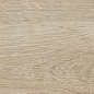 FOA60124D-B Oak 20x120 Enping Jingyen