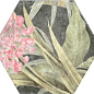 Saona Aruba Lava 23x27 Durstone