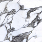 E-13169 POLISHED 60x120 Italica Tiles