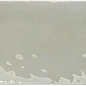 129060 Rebels Sage Gloss 5х15 WOW