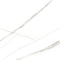GT197VG Spring Белый 30x60 Global Tile
