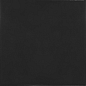 25598 Black 13.2x13.2 EQUIPE