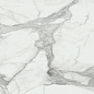 Invictus Natural 120x120 Baldocer