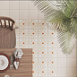 Siena Rustico 19,8x19,8 Decocer